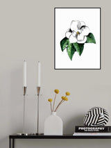 White magnolia Poster och Canvastavla