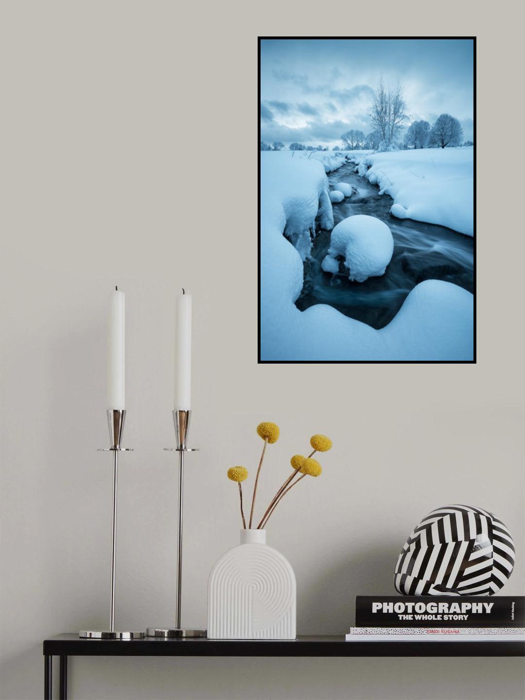 Fluffy Winter Poster och Canvastavla
