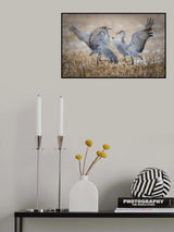 Discord Poster och Canvastavla