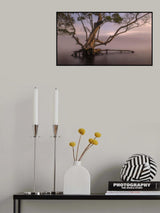Tree Poster och Canvastavla