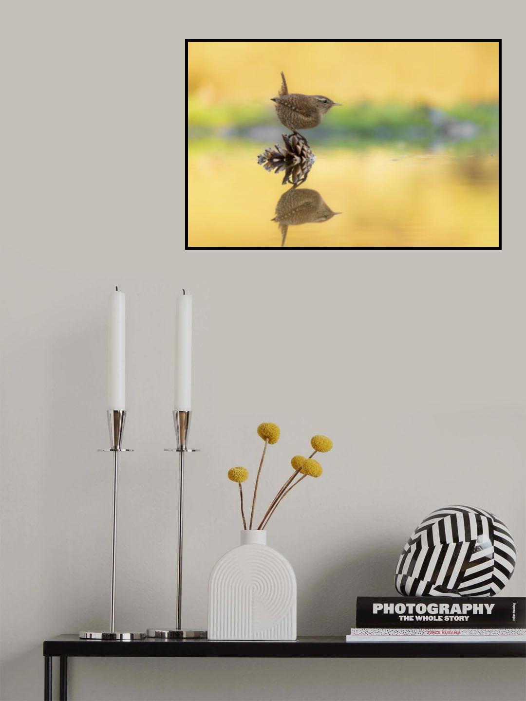 Eurasian wren - Scricciolo - Troglodytes troglodytes Poster och Canvastavla