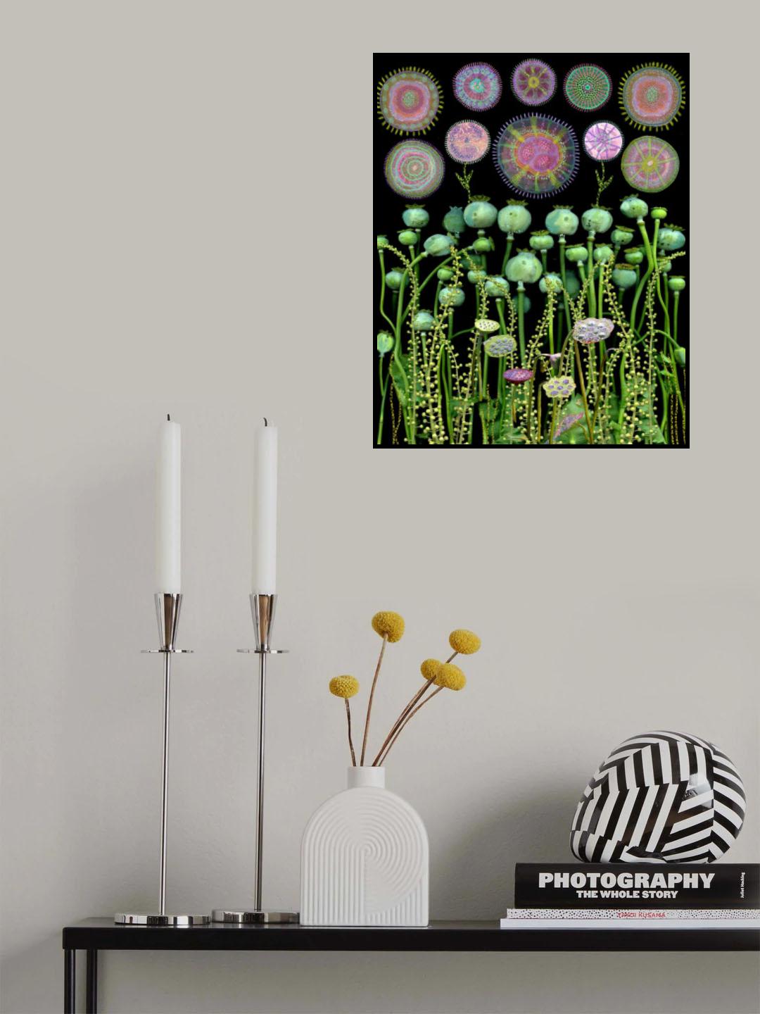 Poppy Floral Meadow.png Poster och Canvastavla