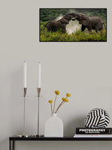 Pachydermal Pleasures Poster och Canvastavla