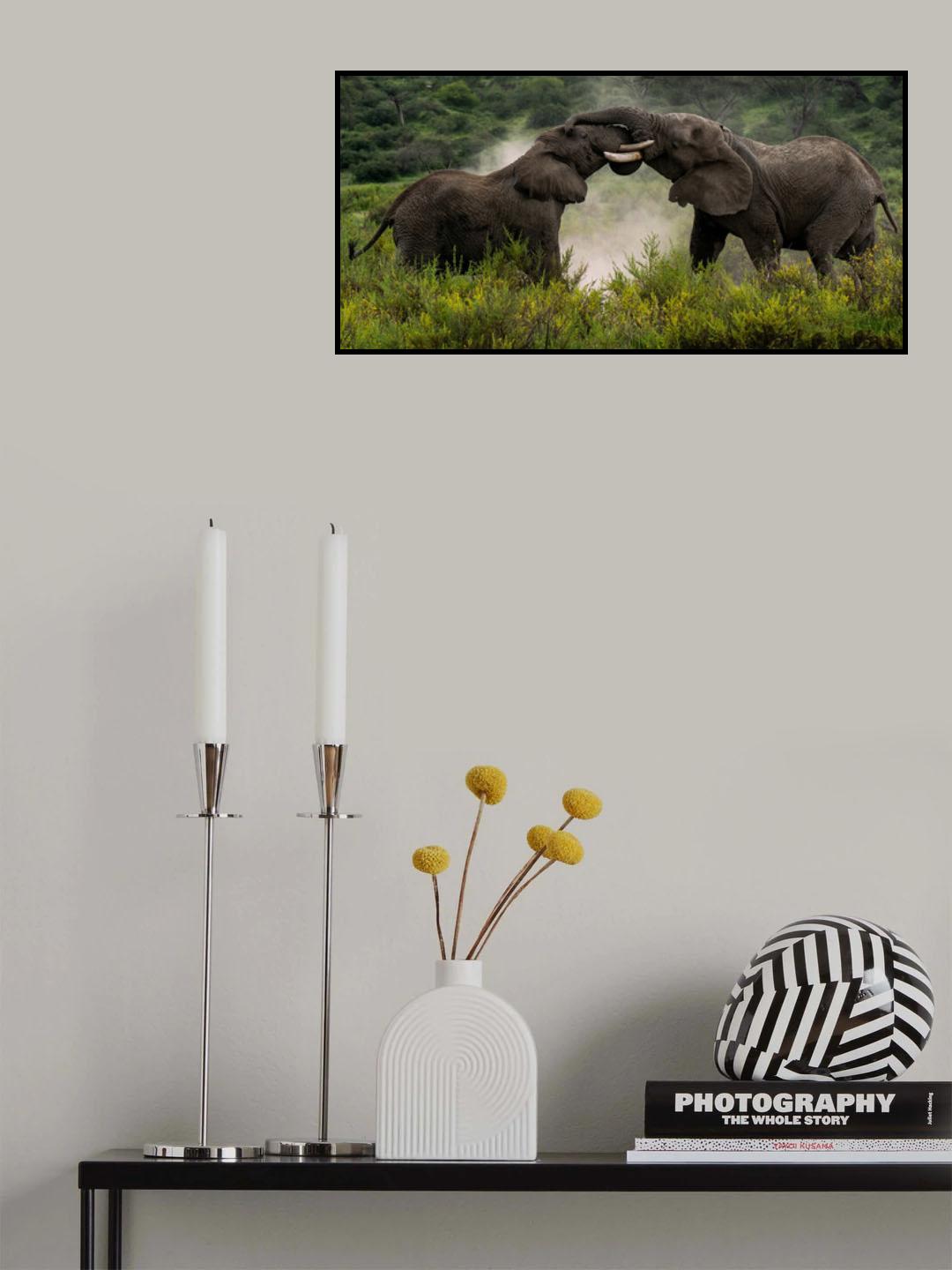Pachydermal Pleasures Poster och Canvastavla