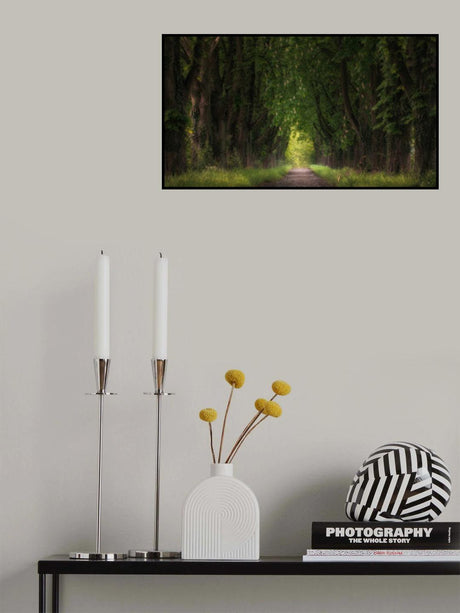 chestnut avenue Poster och Canvastavla