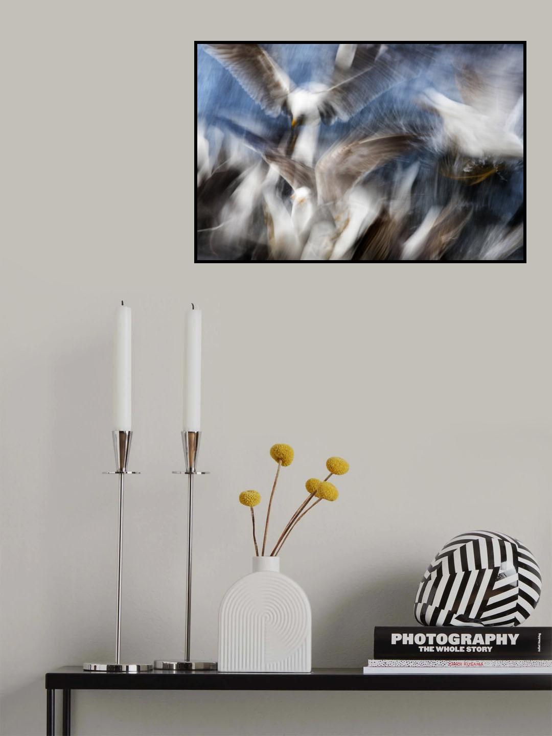 Gull Feeding Frenzy Poster och Canvastavla