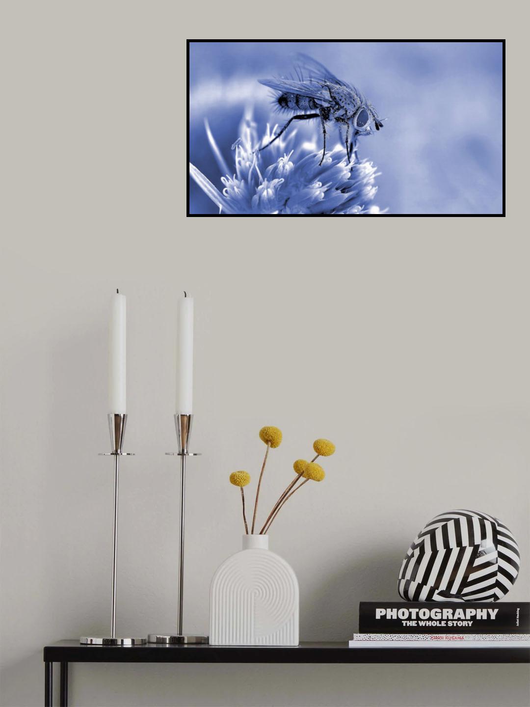 Sweetmeat... Poster och Canvastavla