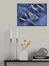 Mimicry... Poster och Canvastavla