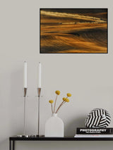 ZOOM Poster och Canvastavla