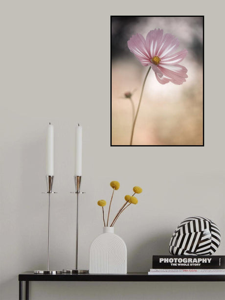 Cosmos Poster och Canvastavla