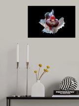 Angry Mask Poster och Canvastavla