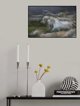 Stampedo Poster och Canvastavla