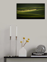 Busy Spring Poster och Canvastavla