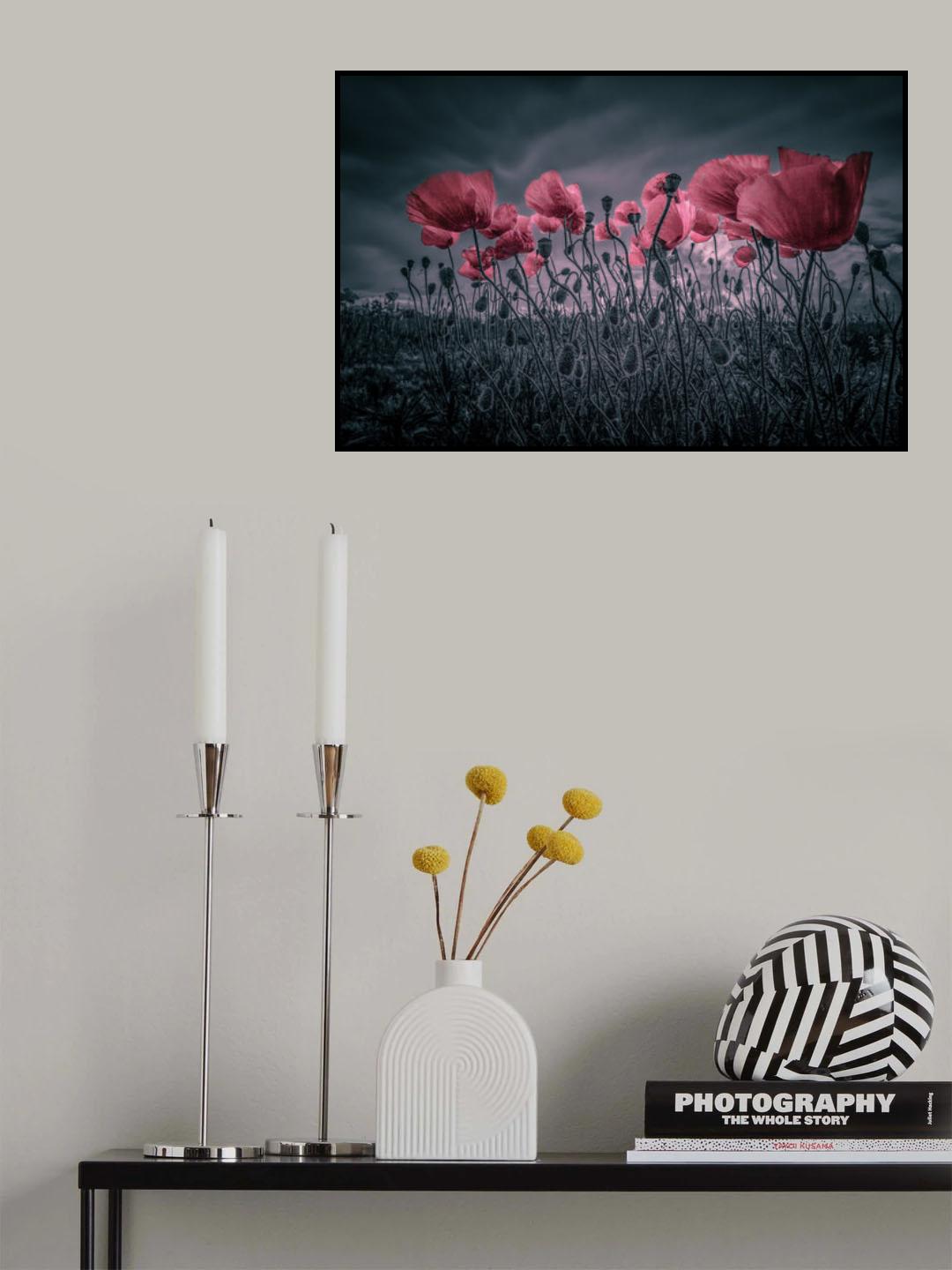 Poppies Poster och Canvastavla