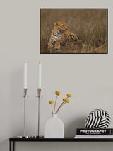 Beauty Poster och Canvastavla