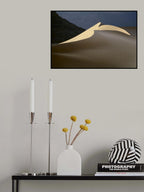 sandy bird Poster och Canvastavla
