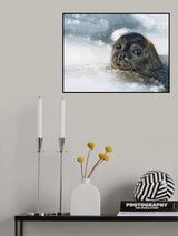 do you have a fish ? Poster och Canvastavla