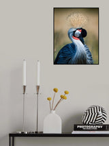Crowned Crane Poster och Canvastavla