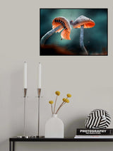Two on Two Poster och Canvastavla