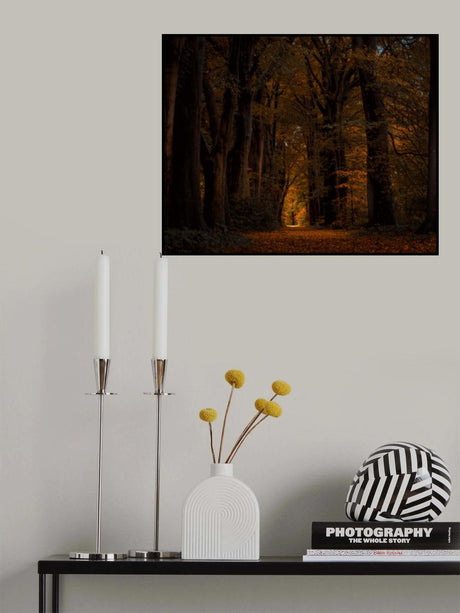 Light at the end of a lane in a dark autumn forest Poster och Canvastavla