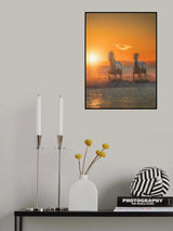 Galloping free A734264 Poster och Canvastavla
