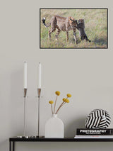 Play with Mom Poster och Canvastavla