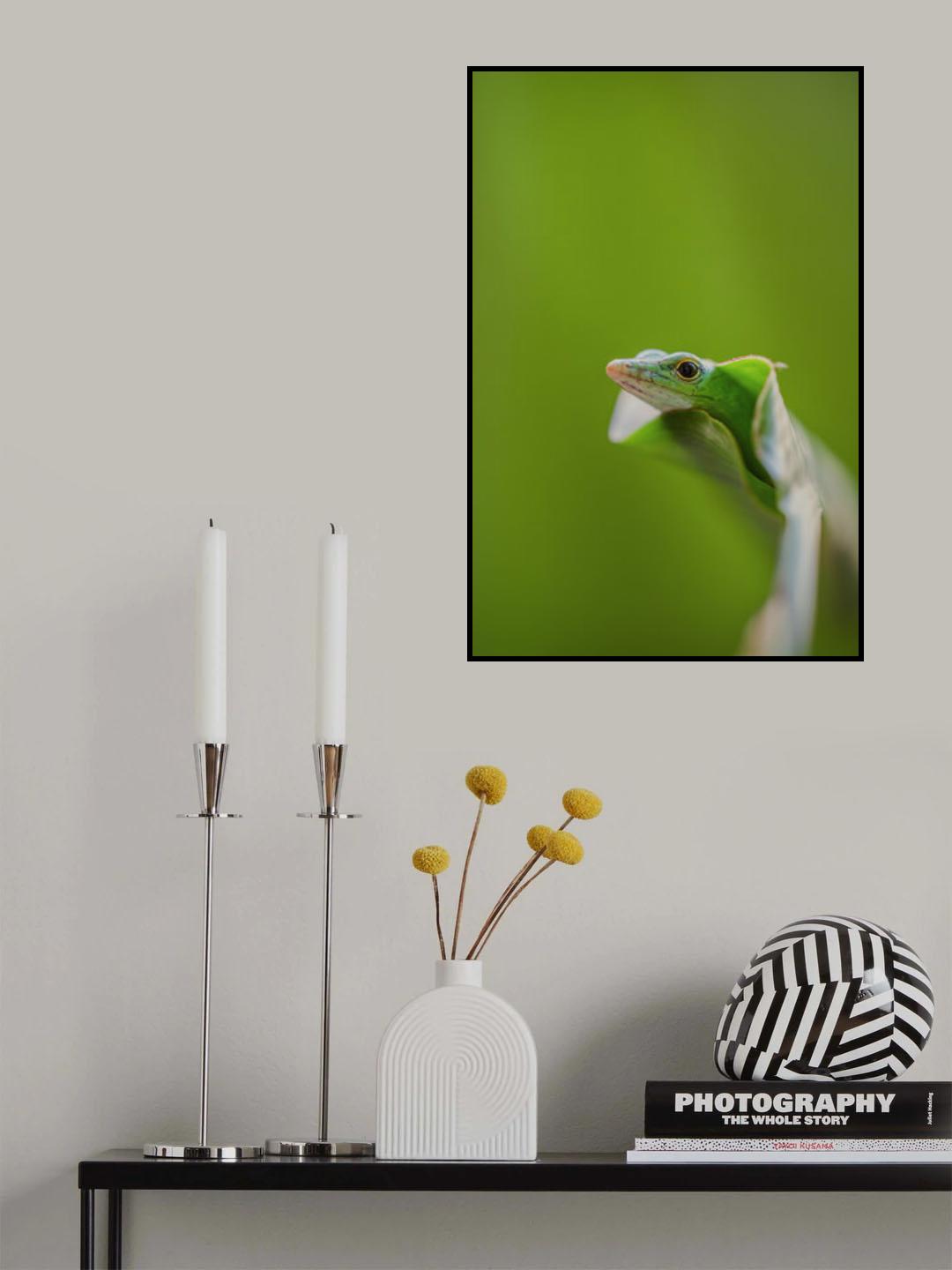 Lazy Day Poster och Canvastavla