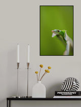Lazy Day Poster och Canvastavla