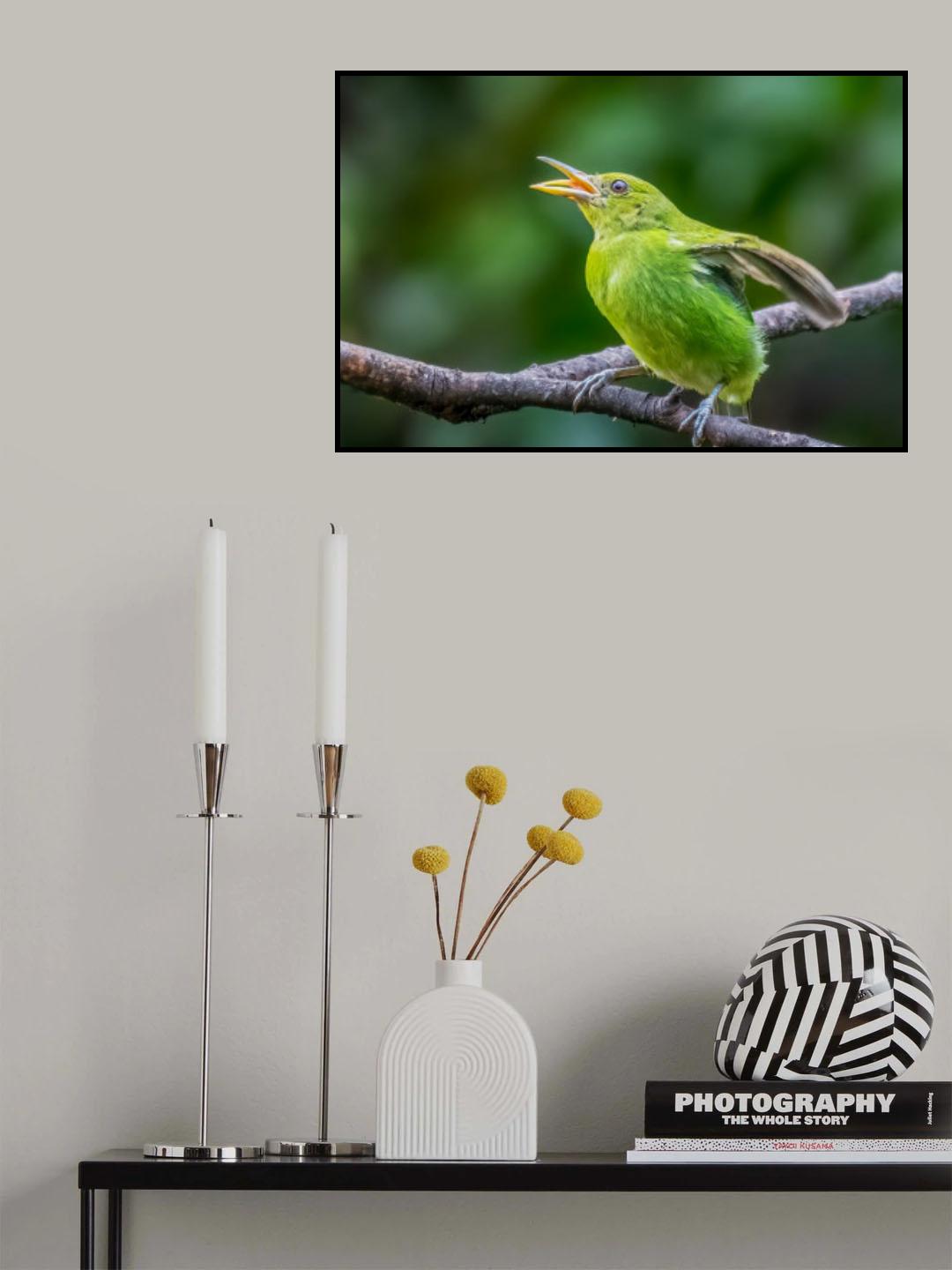 Green Honeycreeper is singing Poster och Canvastavla