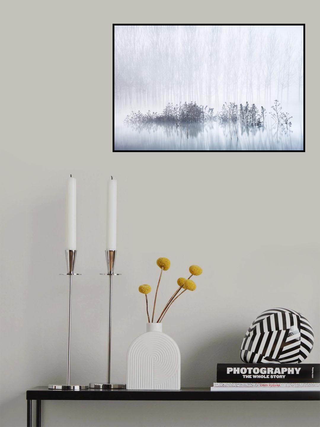 Cold &amp; Foggy Morning in the Swamp Poster och Canvastavla