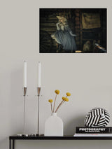 Hase chan Poster och Canvastavla