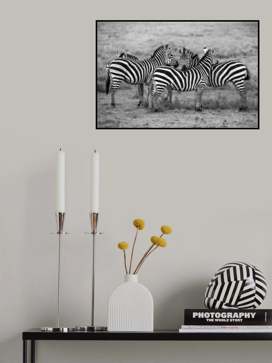 Stripes Poster och Canvastavla