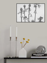 Spring Poster och Canvastavla
