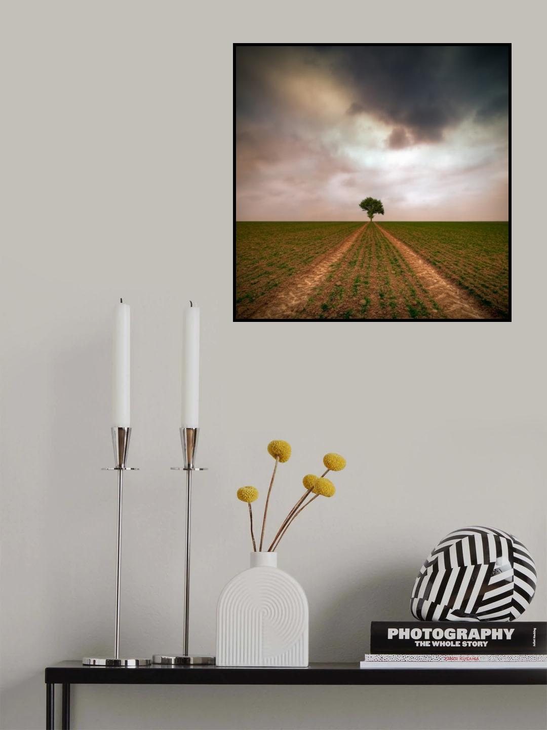 a tree... Poster och Canvastavla