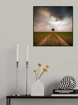 a tree... Poster och Canvastavla