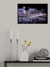 Feather and Drop II Poster och Canvastavla
