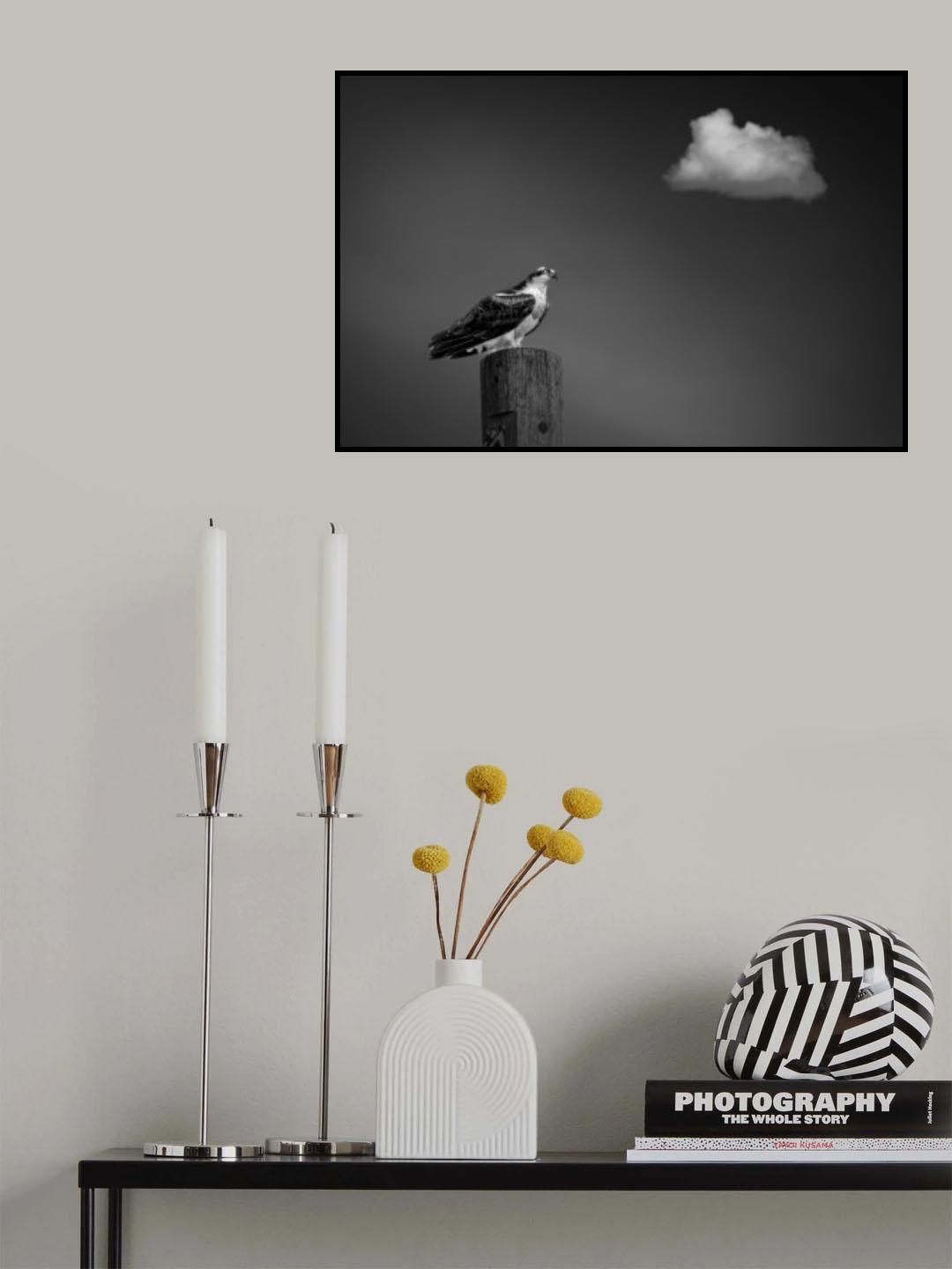 Hawk of courage Poster och Canvastavla