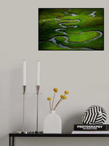 The Sheep Herd Poster och Canvastavla