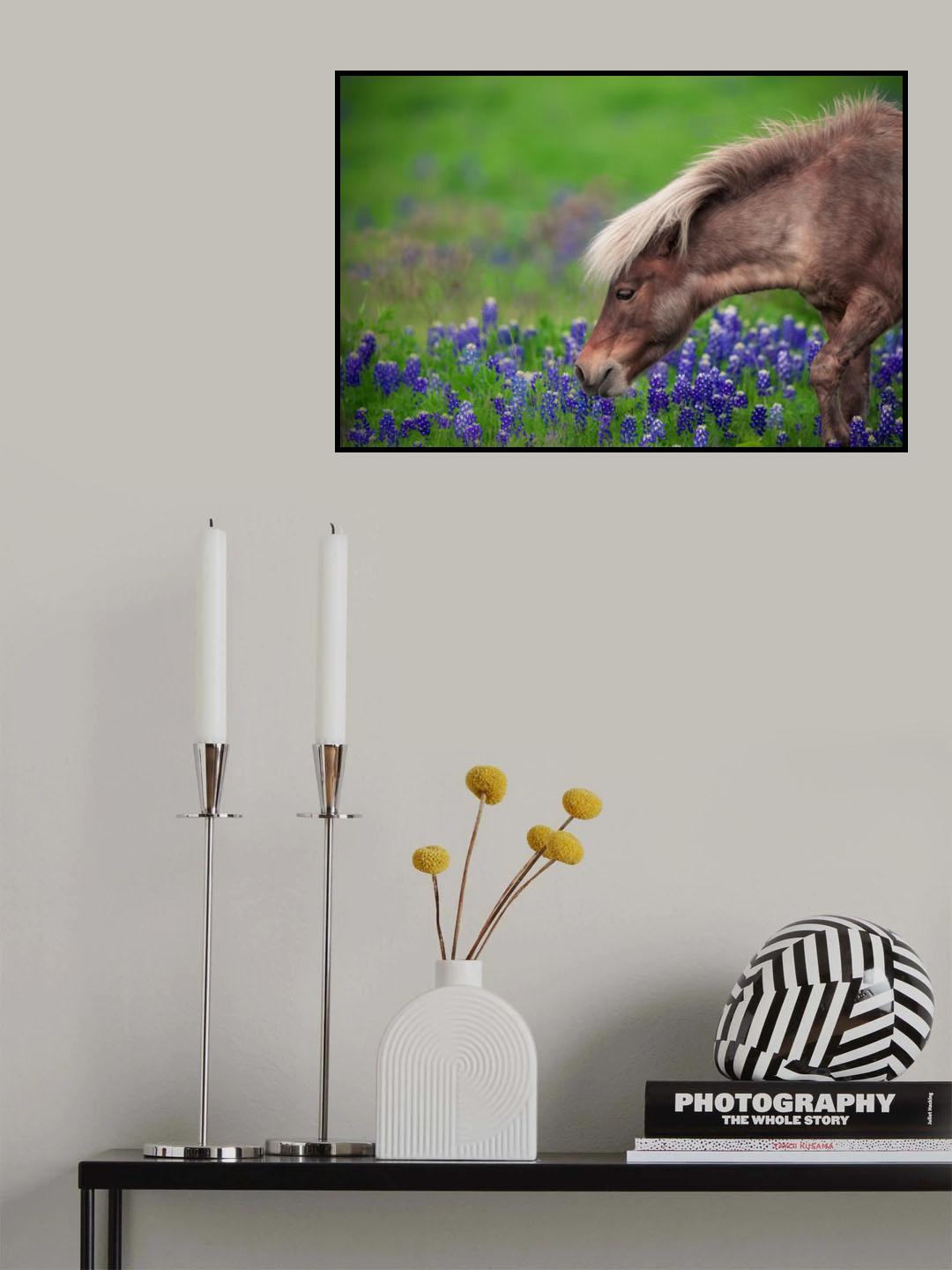 Spring Is In The Air... Poster och Canvastavla