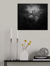 Autumn is gone... Poster och Canvastavla