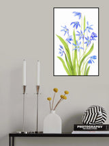 Scilla Poster och Canvastavla
