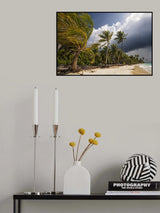 Thunderstorm Poster och Canvastavla