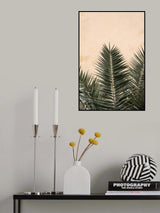 Palm leaves and wall_1 Poster och Canvastavla