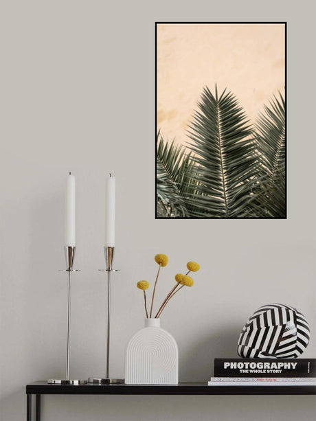 Palm leaves and wall_1 Poster och Canvastavla