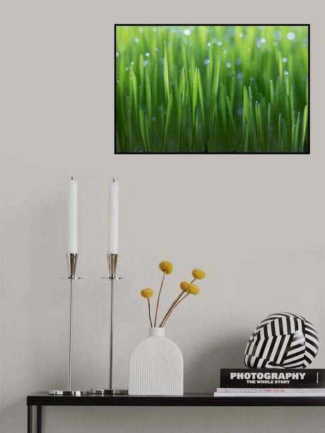 Wheat Poster och Canvastavla