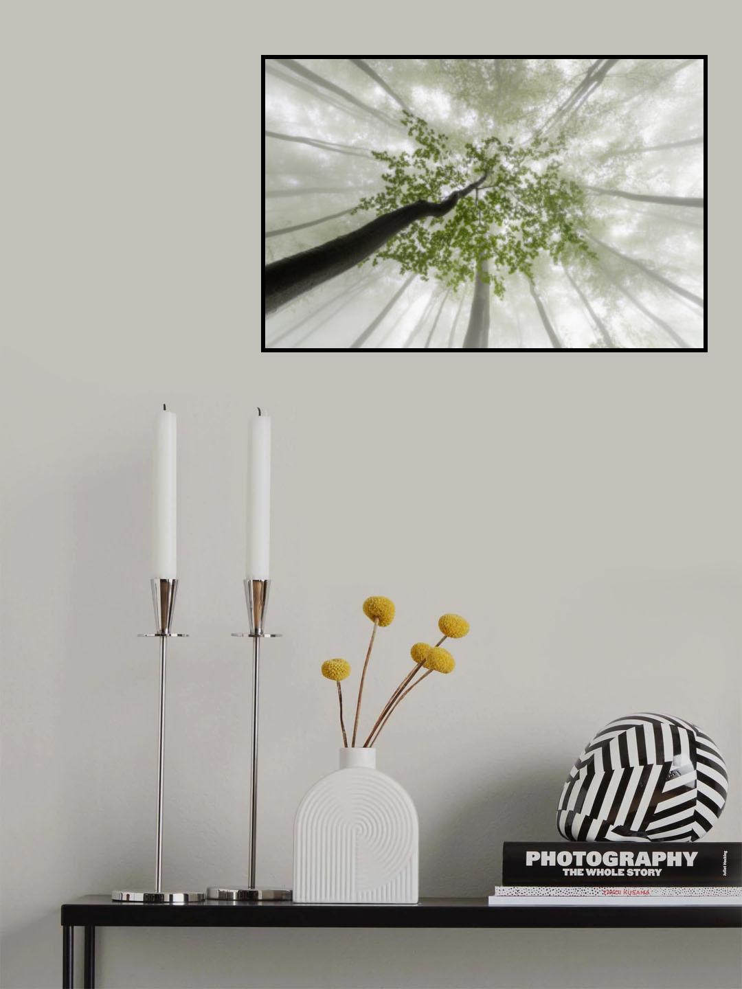 Foggy spring Poster och Canvastavla