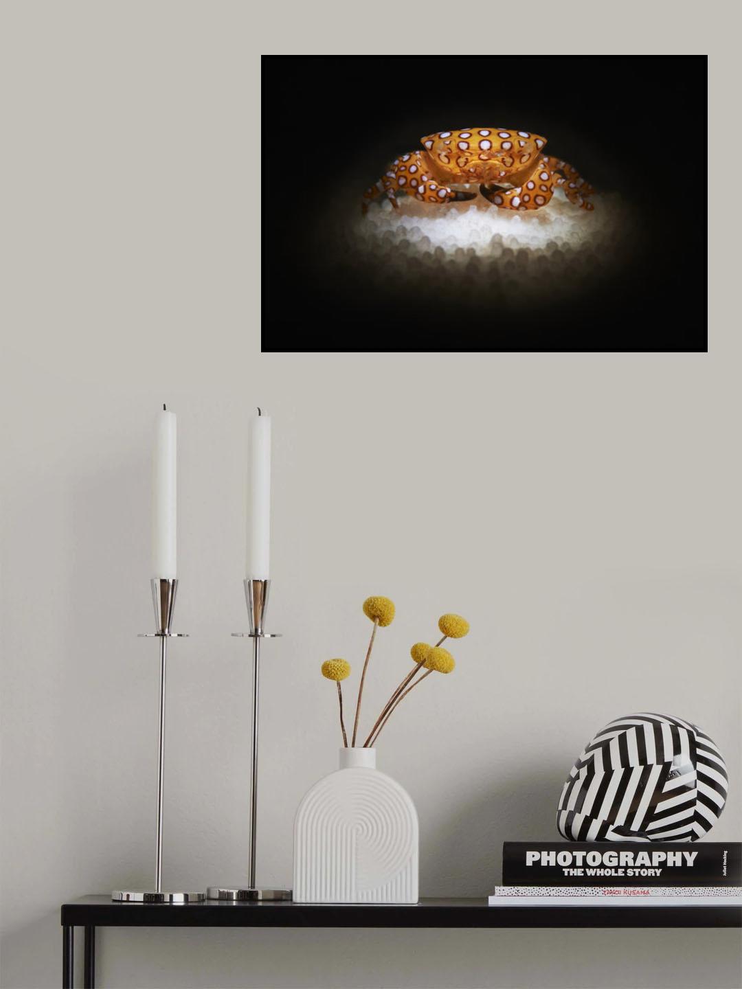 Pois Poster och Canvastavla