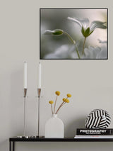 "Translucent" Poster och Canvastavla