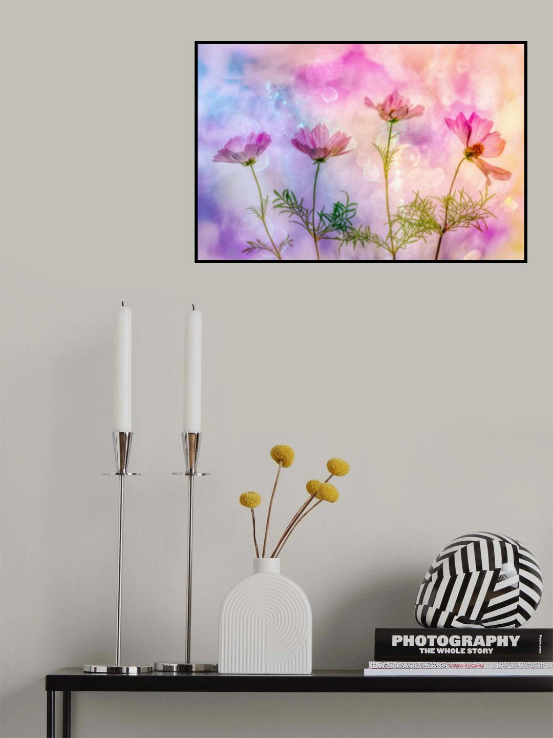 Cheerful Cosmea Poster och Canvastavla