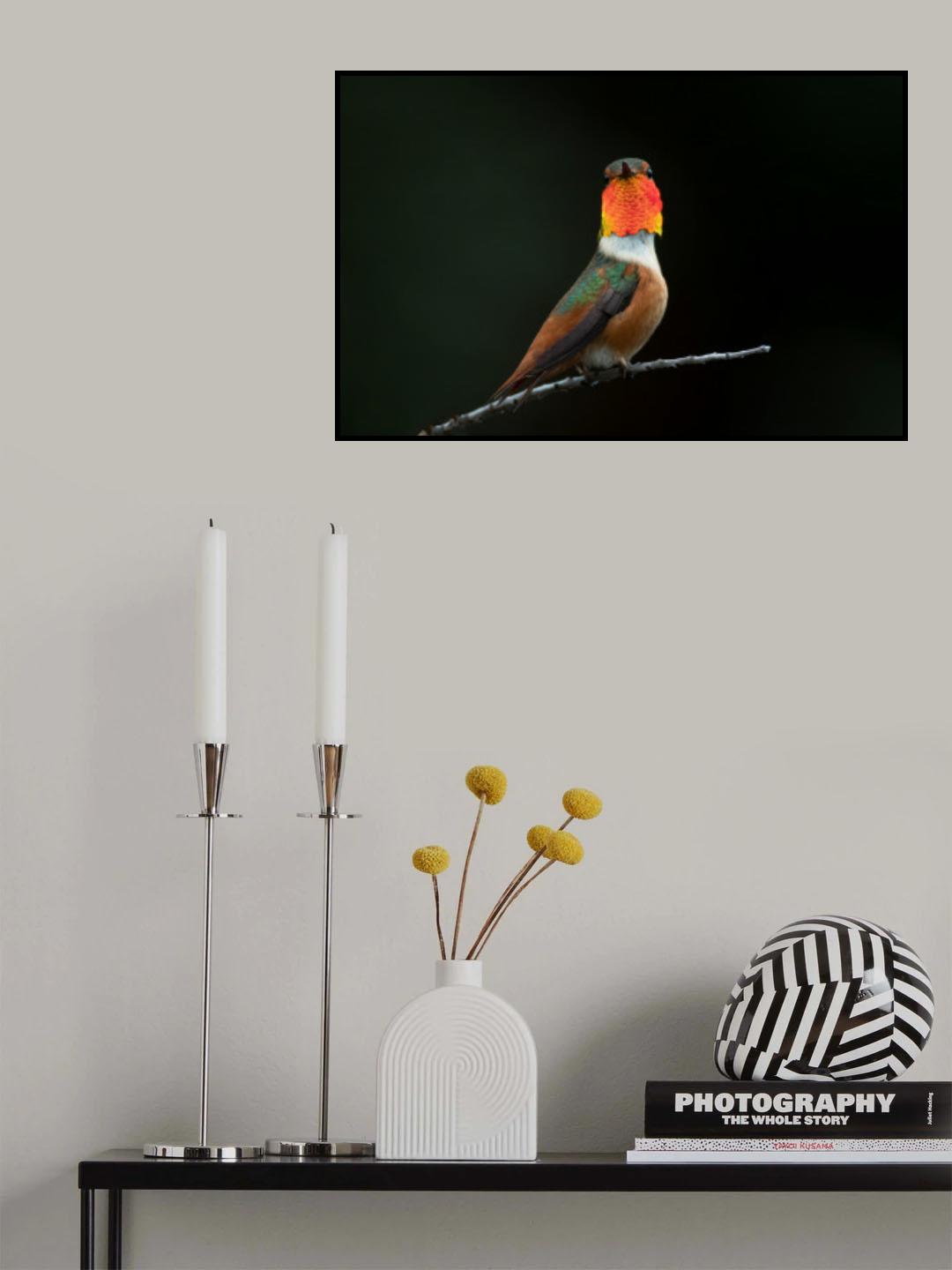Hummingbird Poster och Canvastavla